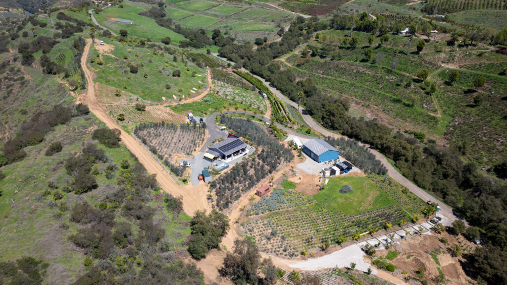 Brand Photos DELIVERED to Taza Creek Orchard 20 DJI 20250326042128 0006 D 1