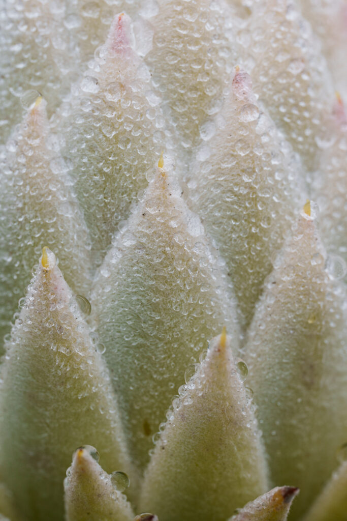 Can't Miss MASSIVE Savings! 3 DSC4141 3