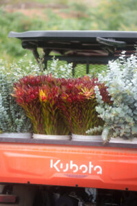 Brand Photos DELIVERED to Taza Creek Orchard 7 DSC4198 1