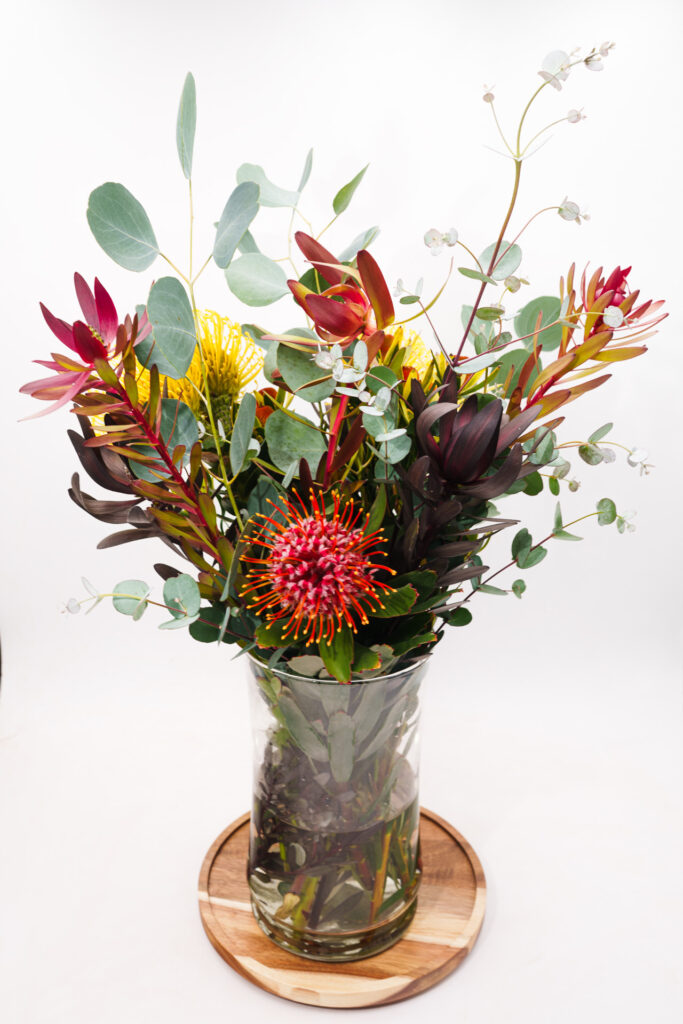 Brand Photos DELIVERED to Taza Creek Orchard 10 DSC8815 1