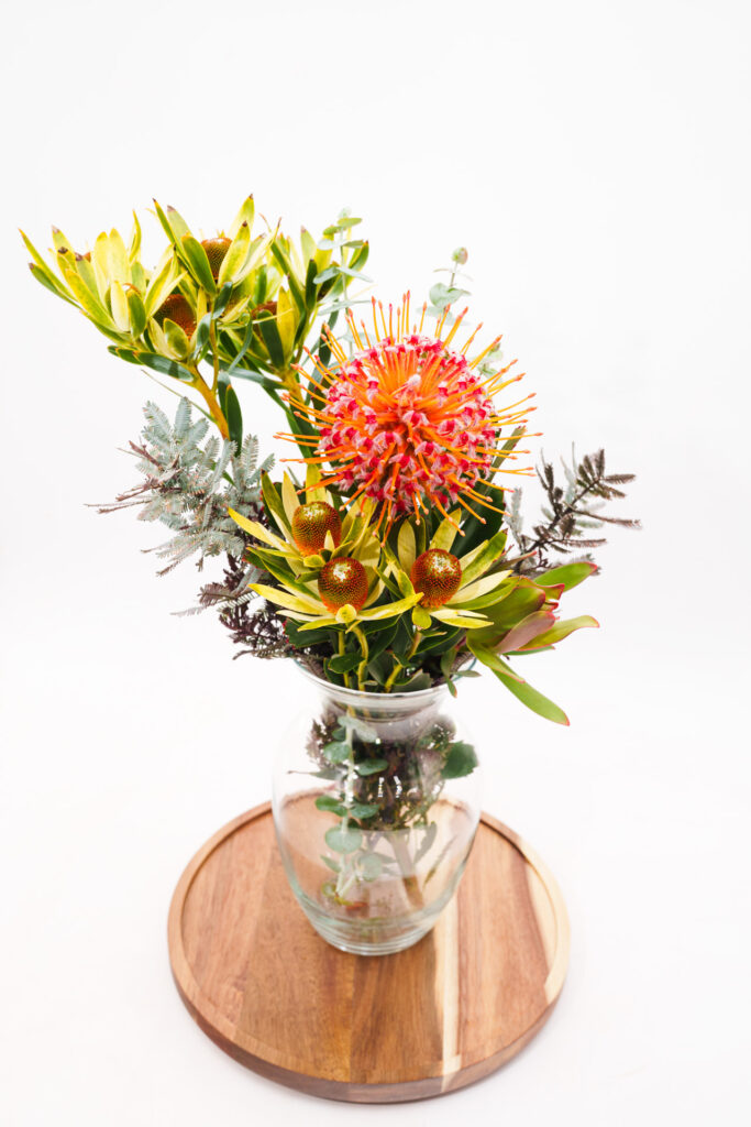 Brand Photos DELIVERED to Taza Creek Orchard 8 DSC8822 1