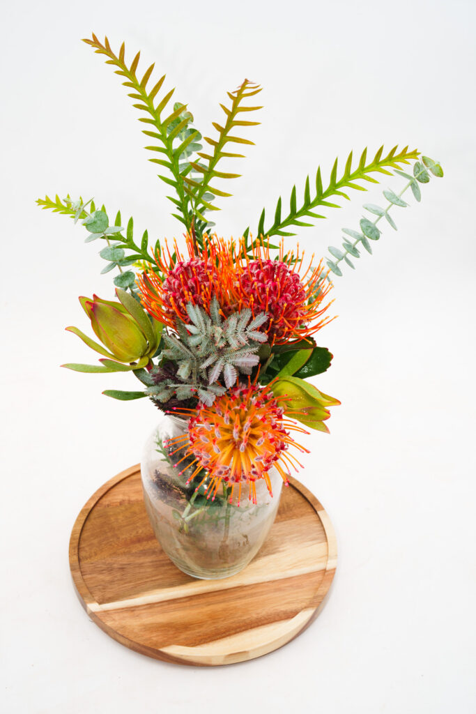 Brand Photos DELIVERED to Taza Creek Orchard 12 DSC8893 1