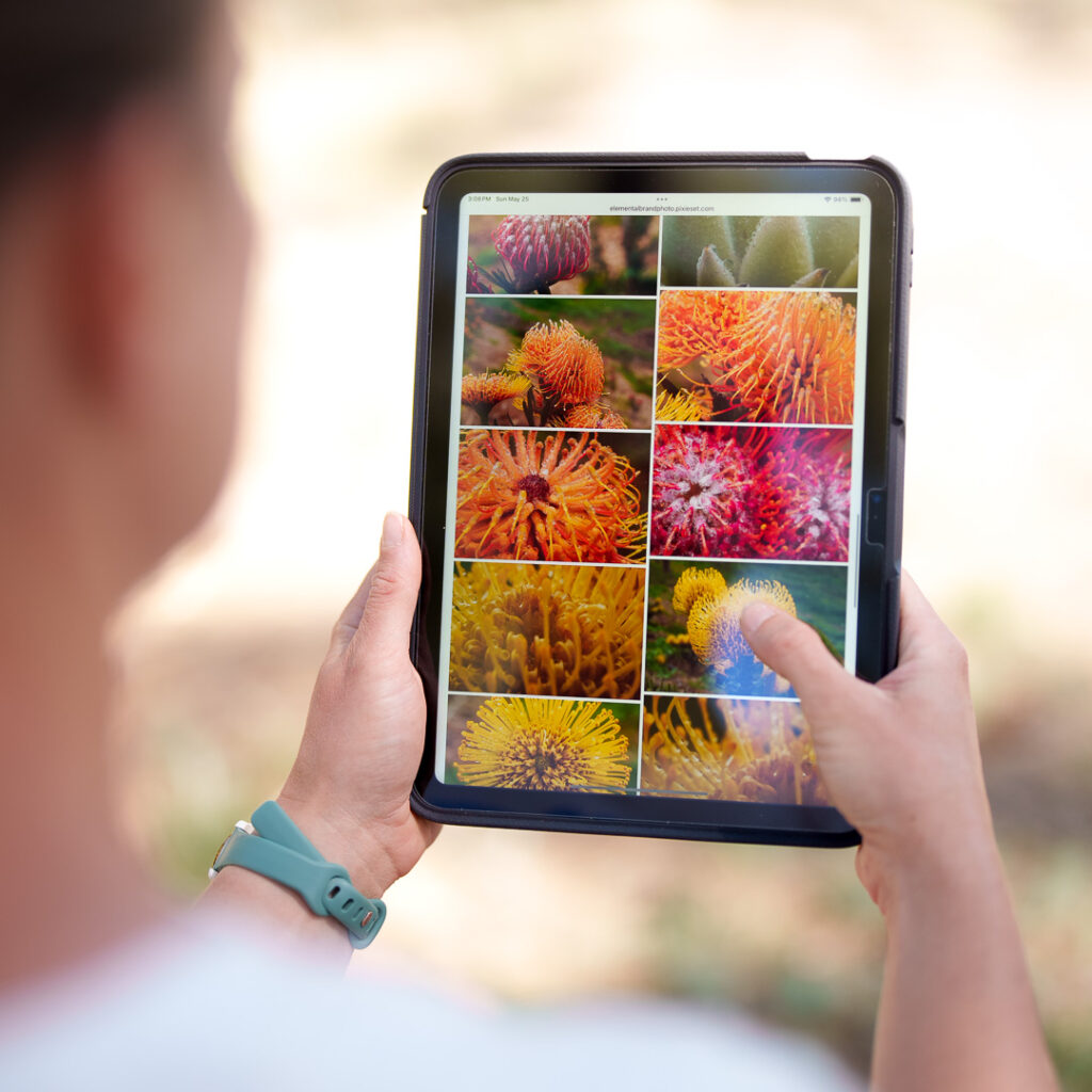 7 Reason's Why Picking AI Over A Professional Photographer Is a Mistake for your Brand 1 Gallery on Tablet