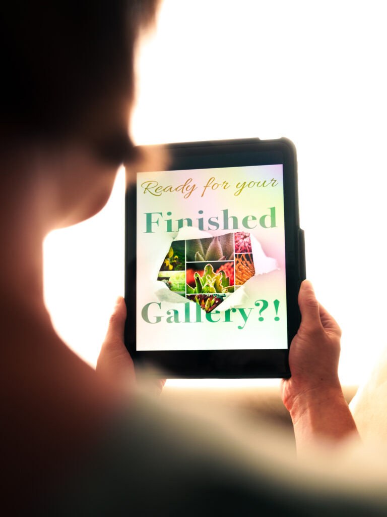 Brand Photos Website Email