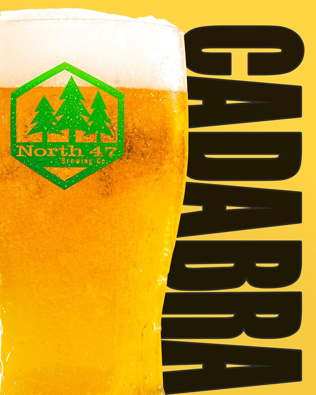 Seattle Brand Photography. Integrated design text showcases the beer product name. North 47 Brewing Co.