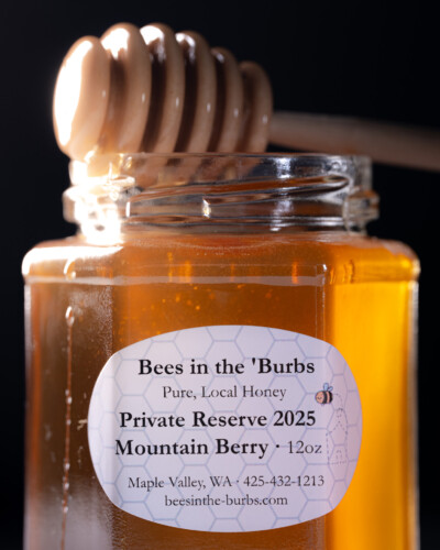 April 2026 Collaborations 6