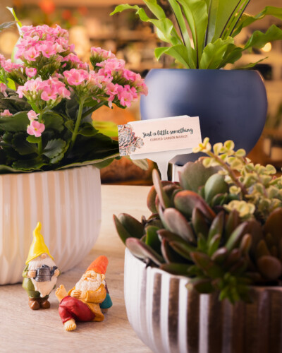 March 2026 Collaborations 13