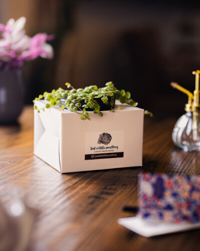 March 2026 Collaborations 12