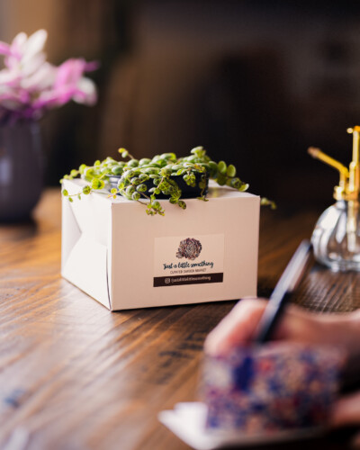 March 2026 Collaborations 8