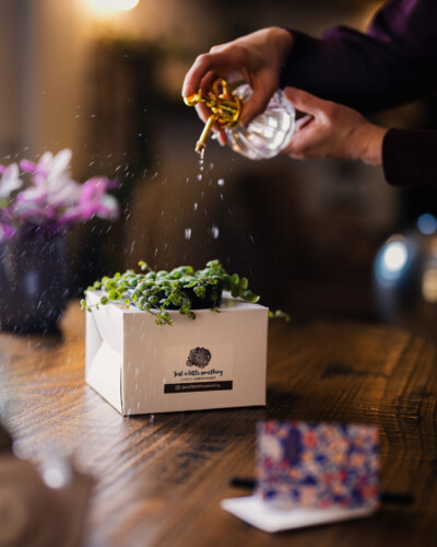 March 2026 Collaborations 10