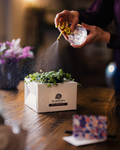 March 2026 Collaborations 14