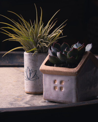 March 2026 Collaborations 13