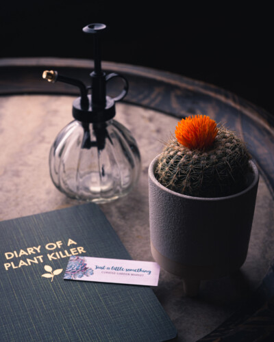 March 2026 Collaborations 9