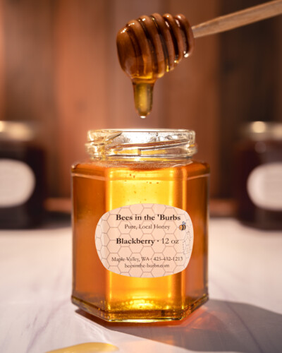 April 2026 Collaborations 11